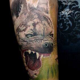 Tattoo Hyena color tattoo On the arm motif: colorful style: realistic