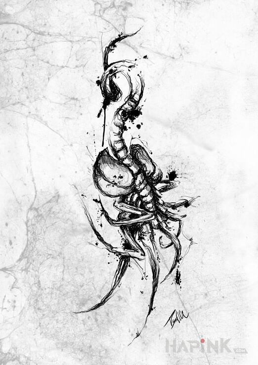 Designs wolny wzór - blackwork / blackout