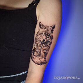 Tatuaż Liski na ramieniu motyw: zwierzęta styl: realistyczne