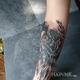 Tattoo Owl on the forearm motif: animals