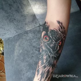 Tatuaż Sowa na przedramieniu motyw: zwierzęta