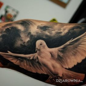 Tatuaż Golab na ramieniu motyw: 3D styl: realistyczne