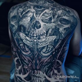 Tatuaż Kolaż wielu elementów na plecach motyw: owady styl: realistyczne