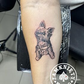 Tattoo Client's pupil on the forearm motif: animals style: realistic