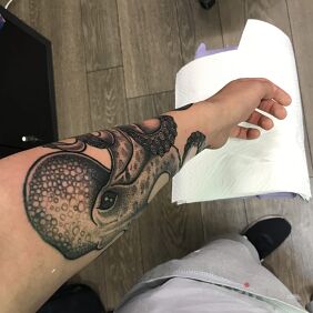 Tattoo Octopus on the forearm motif: animals