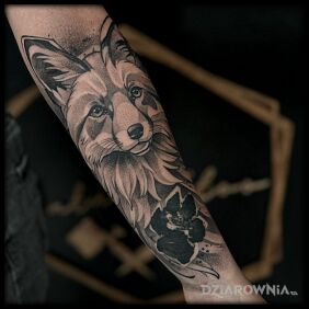 Tatuaż Lisek i jego łapka na ręce motyw: zwierzęta styl: dotwork
