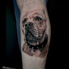 TATUAŻ NA ŁYDCE REALIZM PITBULL TATTOO