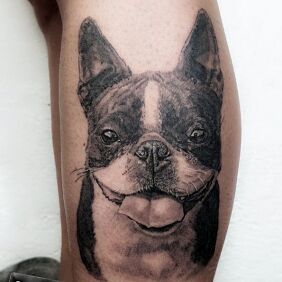 Tattoo FRENCH BULLDOG PORTRAIT on the calf motif: black and gray style: realistic
