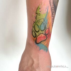 Tatuaż ŁAPKA PSA na przedramieniu motyw: zwierzęta styl: watercolor