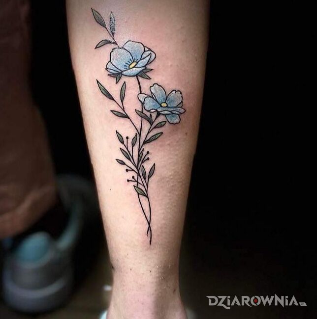 Tatuaż niezapominajki w motywie kolorowe i stylu kontury / linework na łydce