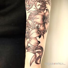 Tatuaż LILIE Z WĘŻEM na przedramieniu motyw: zwierzęta styl: graficzne / ilustracyjne