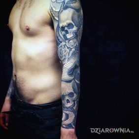 Tatuaż Waz i czacha na przedramieniu motyw: zwierzęta