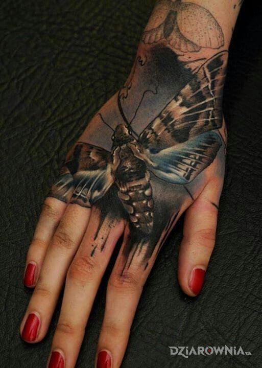Tatuaż ćma w motywie 3D i stylu realistyczne na dłoni