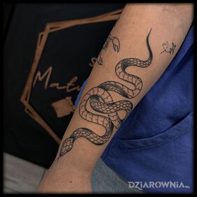 Tatuaż Czarno-biały wonsz żeczny jest niebezpieczny na przedramieniu motyw: czarno-szare styl: kontury / linework
