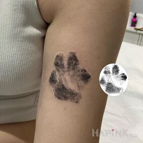 Tattoo Paw of a dog On the arm motif: black and gray style: sketch