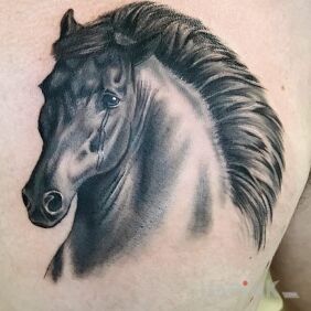 Tattoo Horse on the chest motif: animals