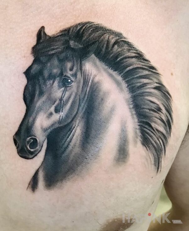 Tattoo Koń in animals motif on the chest