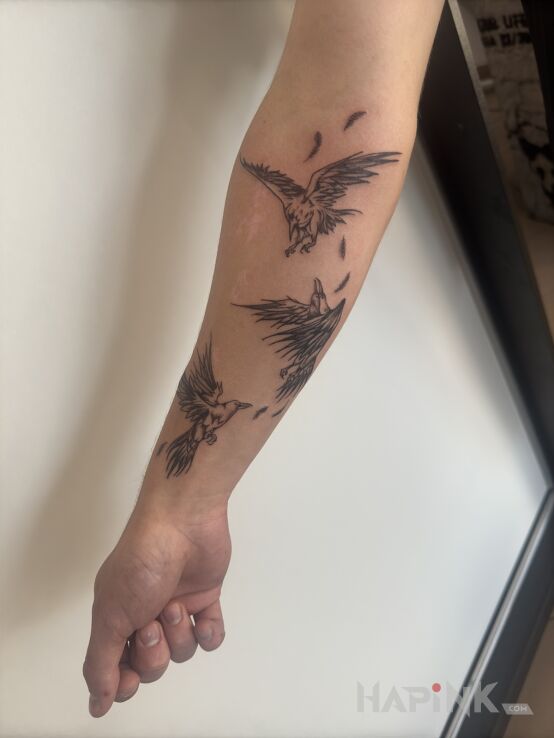 Tattoo Ravens in black and gray motif and graphic / illustrative style on the forearm