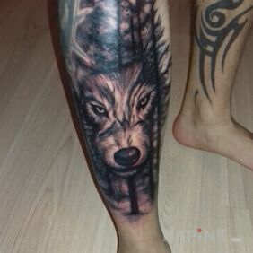 Tattoo Poland fighting wolf in the forest on the leg motif: animals style: realistic