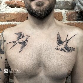 Tattoo Classic Swallows on the chest motif: black and gray style: graphic / illustrative