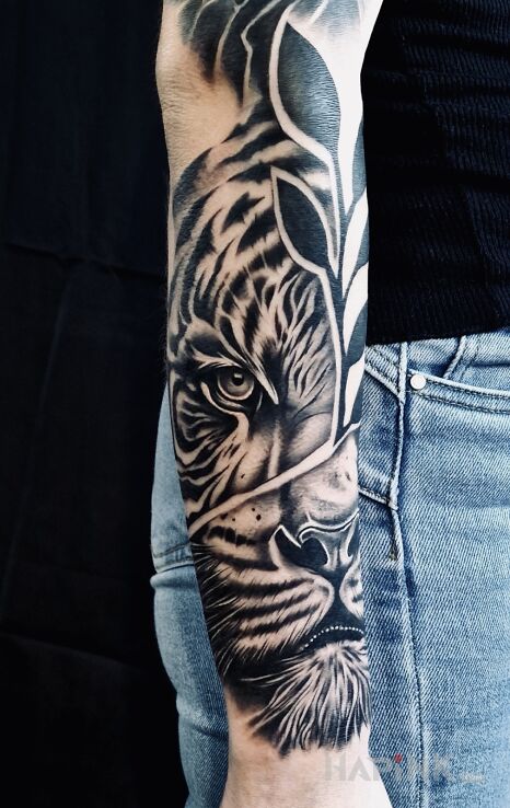 Tattoo Tiger in animals motif and realistic style On the arm