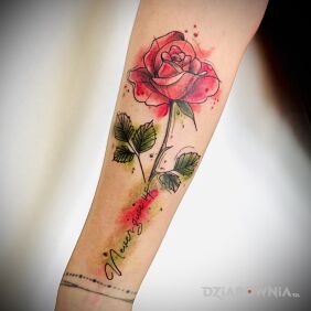 Tatuaż Różyczka 🤩 na ręce motyw: kwiaty styl: graficzne / ilustracyjne