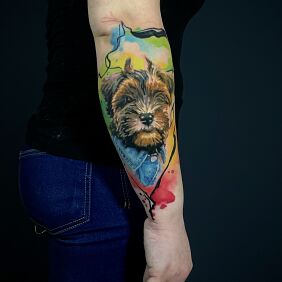 Tattoo PORTRAIT OF A DOG, YORK COLOR on the forearm motif: colorful style: Watercolor