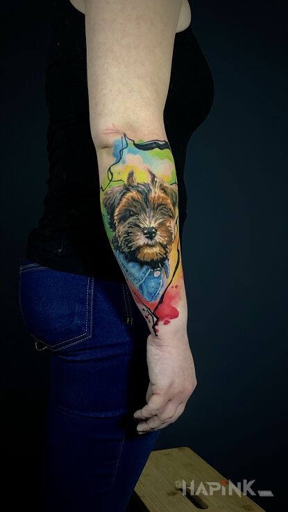 Tattoo PORTRET PSA, YORK KOLOR in colorful motif and realistic style On the arm