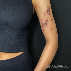 Tatuaż Motylki na ramieniu motyw: motyle styl: kontury / linework