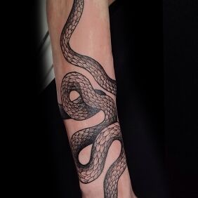 Tattoo Snake On the arm motif: animals style: dotwork