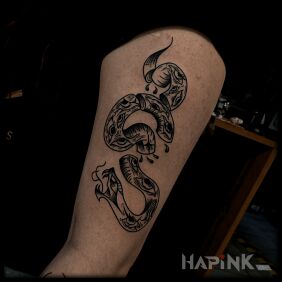 Tattoo Cut snake in old school On the arm motif: animals style: oldschool