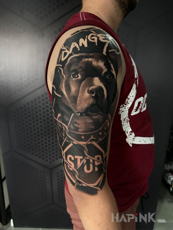 Tattoo Pitbull tattoo in black and gray motif and realistic style on the upper arm
