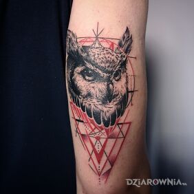 Tatuaż Sowa z czerwonymi dodatkami na ręce motyw: kolorowe styl: realistyczne