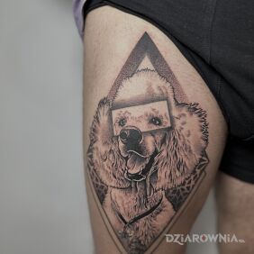 Tatuaż Psi portret dla naszego klienta - z odrobiną fantazji! na nodze motyw: zwierzęta styl: realistyczne