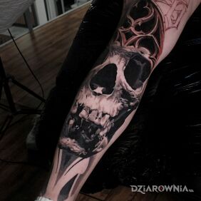 Tatuaż Czaszka na nodze motyw: 3D styl: realistyczne
