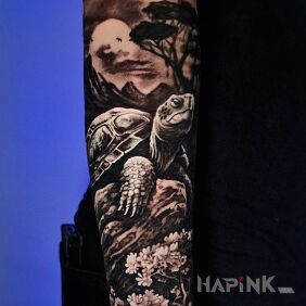 Tattoo Turtle on a Rock on the forearm motif: animals style: realistic