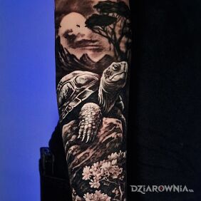 Tatuaż Zółw na kamieniu na ręce motyw: czarno-szare styl: realistyczne