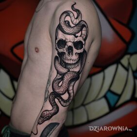 Tatuaż Czaszka z wężem na ręce motyw: czarno-szare styl: realistyczne