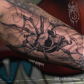 Tatuaż Pająk z czachą na ręce motyw: czaszki styl: realistyczne