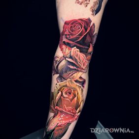 Tatuaż Trzy róże na ręce motyw: kwiaty styl: realistyczne