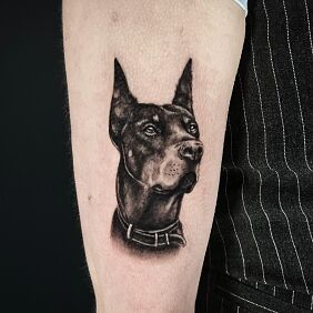 Tattoo Doberman realism on the forearm motif: black and gray style: realistic