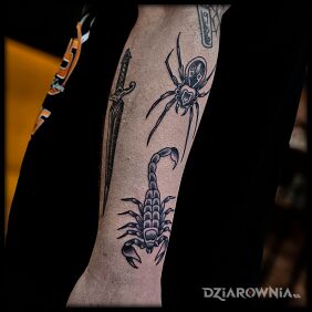 Tatuaż Pająk i skorpion w oldschoolu na ręce motyw: zwierzęta styl: oldschool