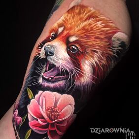Tatuaż Czerwona panda na bicepsie motyw: kwiaty styl: realistyczne