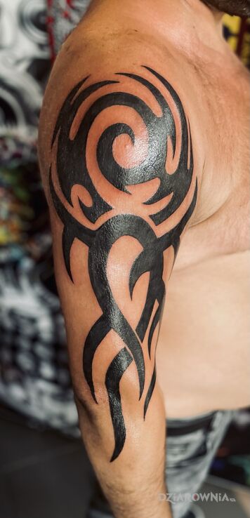 Tattoo Tribal in black and gray motif and tribal style on the upper arm
