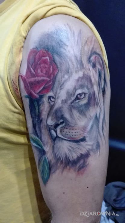 Tatuaż lew i róża w motywie zwierzęta na ramieniu