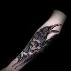 Graphic Raven
