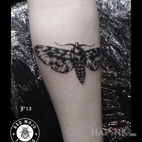 Tattoo Moth on the forearm motif: butterflies