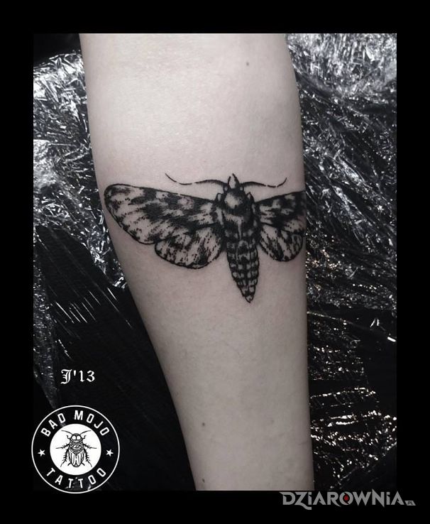 Tatuaż ćma w motywie motyle na przedramieniu