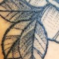 Pielęgnacja tatuażu - Zgrubione kontury