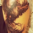 Animal phoenix
